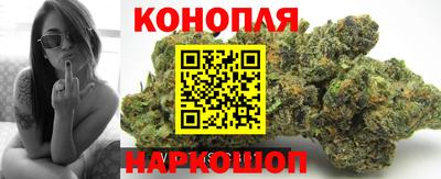 mdpv Партизанск