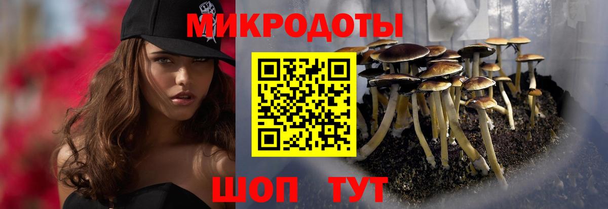 Приморско-Ахтарск  Галлюциногенные грибы Cubensis  Галлюциногенные грибы Psilocybine cubensis  Вход с VPN 